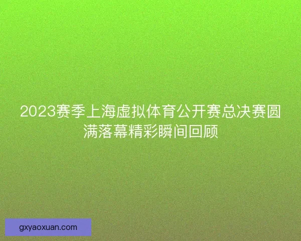 2023赛季上海虚拟体育公开赛总决赛圆满落幕精彩瞬间回顾