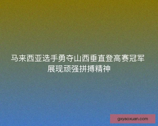 马来西亚选手勇夺山西垂直登高赛冠军 展现顽强拼搏精神